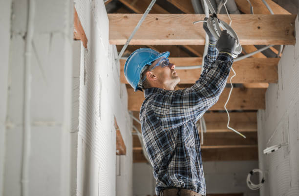 Best Electric Panel Repair  in Whitehouse, OH