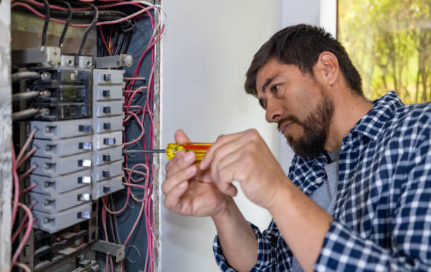 Best Electric Panel Repair  in Whitehouse, OH